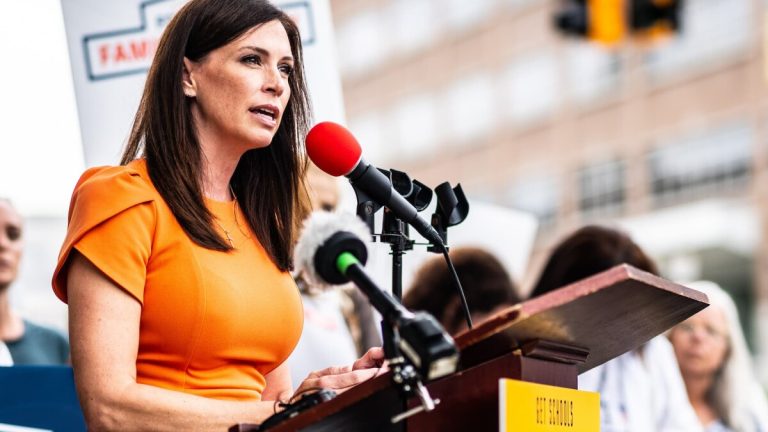 Tudor Dixon Net Worth: Shocking Facts About Her Wealth Tudor Dixon Net Worth: Shocking Facts About Her Wealth